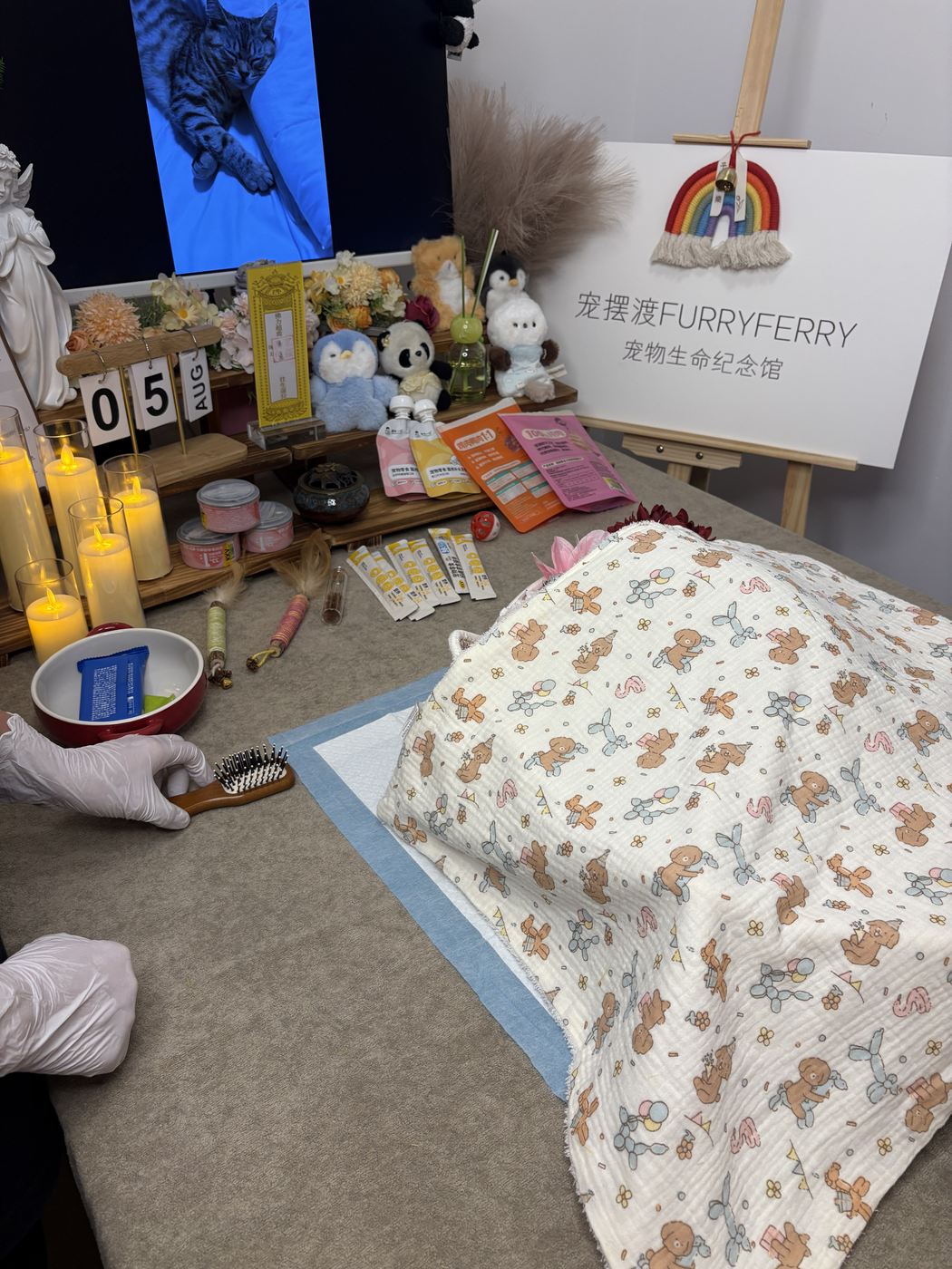 为宠物准备的纪念空间